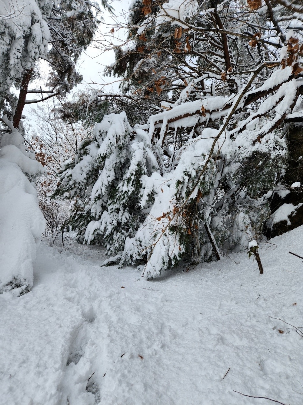 1st Signal Korean workers overcome treacherous conditions to keep communications lines open during winter