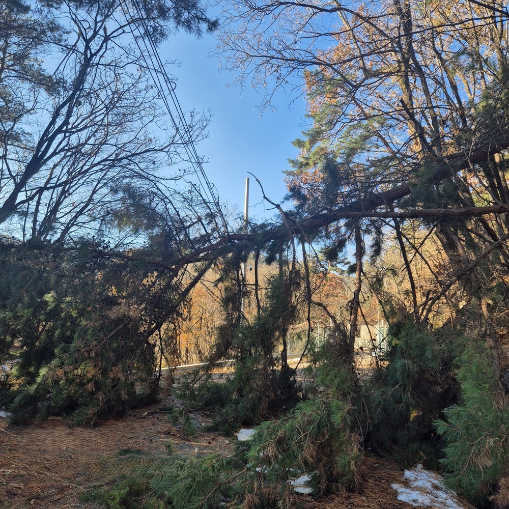 1st Signal Korean workers overcome treacherous conditions to keep communications lines open during winter