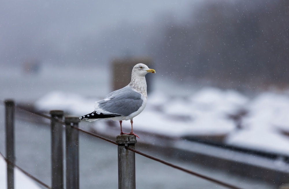 Pittsburgh District continues lock operations through wintery conditions