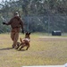 Training days with the military working dogs