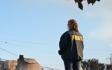 FEMA Administrator and California Govenor Survey Los Angeles County Wildfire Damage