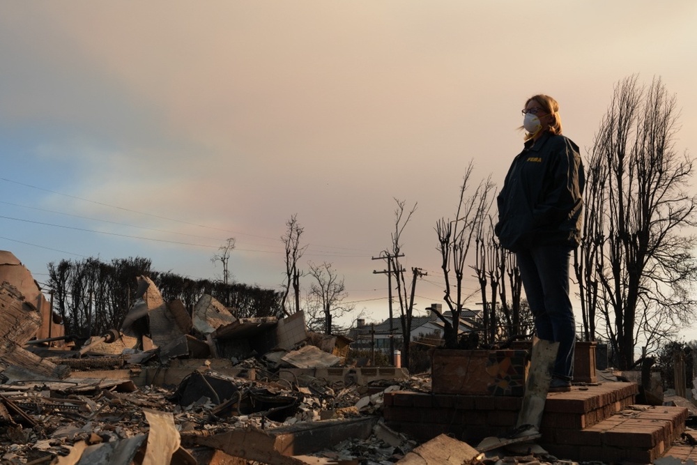 FEMA Administrator and California Govenor Survey Los Angeles County Wildfire Damage