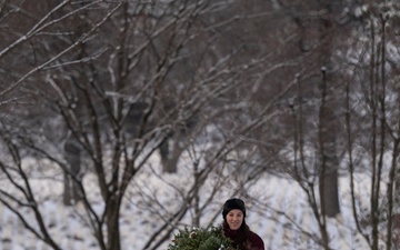 Wreaths Out at Arlington National Cemetery 2025