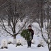 Wreaths Out at Arlington National Cemetery 2025