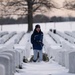 Wreaths Out at Arlington National Cemetery 2025