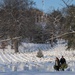 Wreaths Out at Arlington National Cemetery 2025