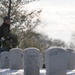 Wreaths Out at Arlington National Cemetery 2025