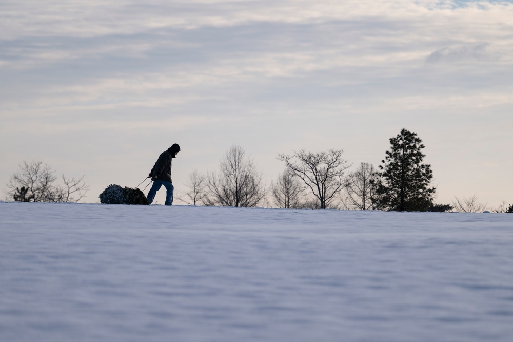 Wreaths Out at Arlington National Cemetery 2025