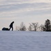 Wreaths Out at Arlington National Cemetery 2025