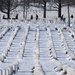 Wreaths Out at Arlington National Cemetery 2025