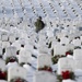 Wreaths Out at Arlington National Cemetery 2025