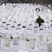 Wreaths Out at Arlington National Cemetery 2025