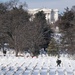 Wreaths Out at Arlington National Cemetery 2025