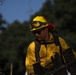 Eaton Fire Aftermath: March ARB Fire Emergency Services