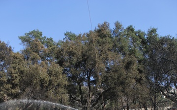 March Field Fire Emergency Services fight multiple fires across southern California, Alta Dena, California, January 11, 2025.