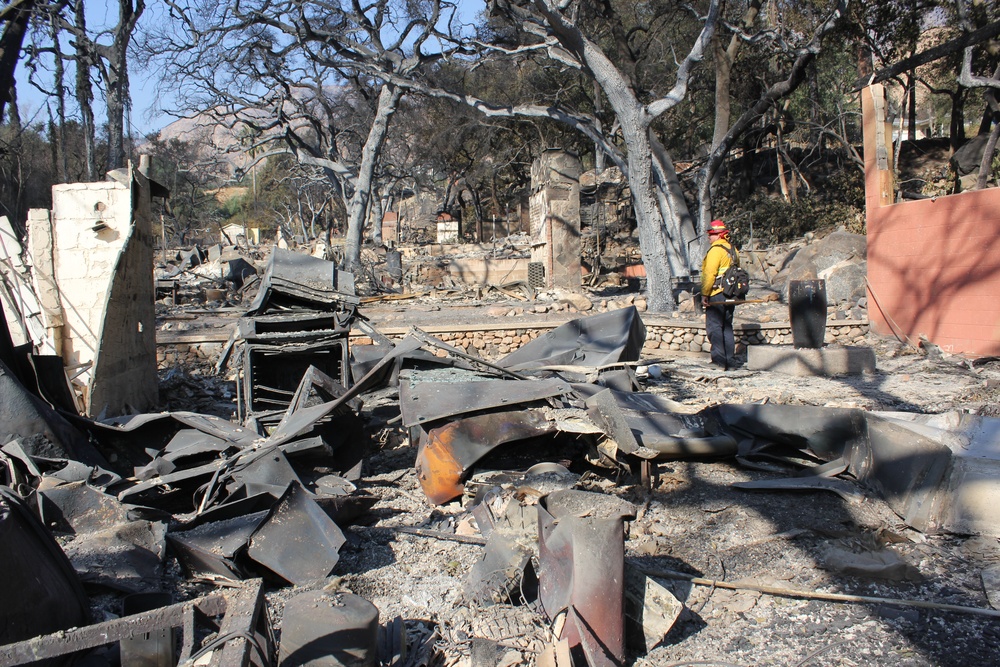 March Field Fire Emergency Services fight multiple fires across southern California, Alta Dena, California, January 11, 2025.