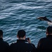 Dolphins Swim Near the USS Nimitz