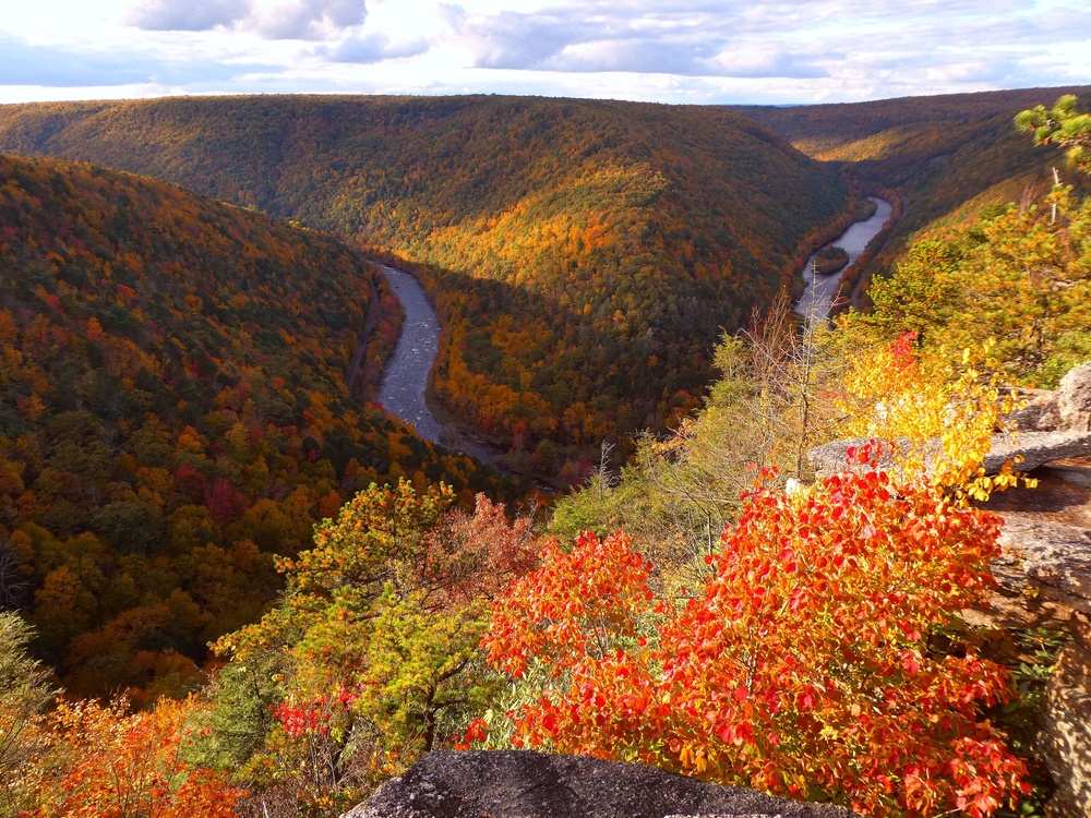 Tank Hollow Overlook