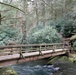 A Section of Trail along Wild Creek Trail