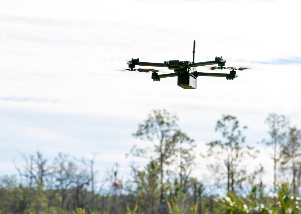 Monitoring MacDill's wetlands and wildlife