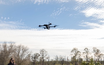 Monitoring MacDill's wetlands and wildlife