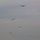 US, international airborne forces soar during New Year’s Jump
