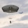 US, international airborne forces soar during New Year’s Jump
