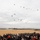 US, international airborne forces soar during New Year’s Jump