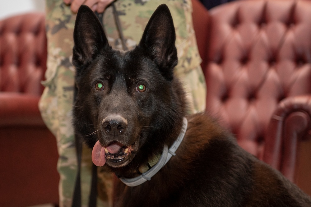 Military working dogs honored in retirement ceremony