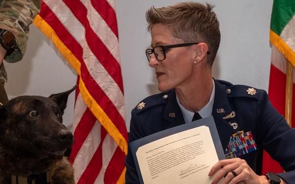 Military working dogs honored in retirement ceremony
