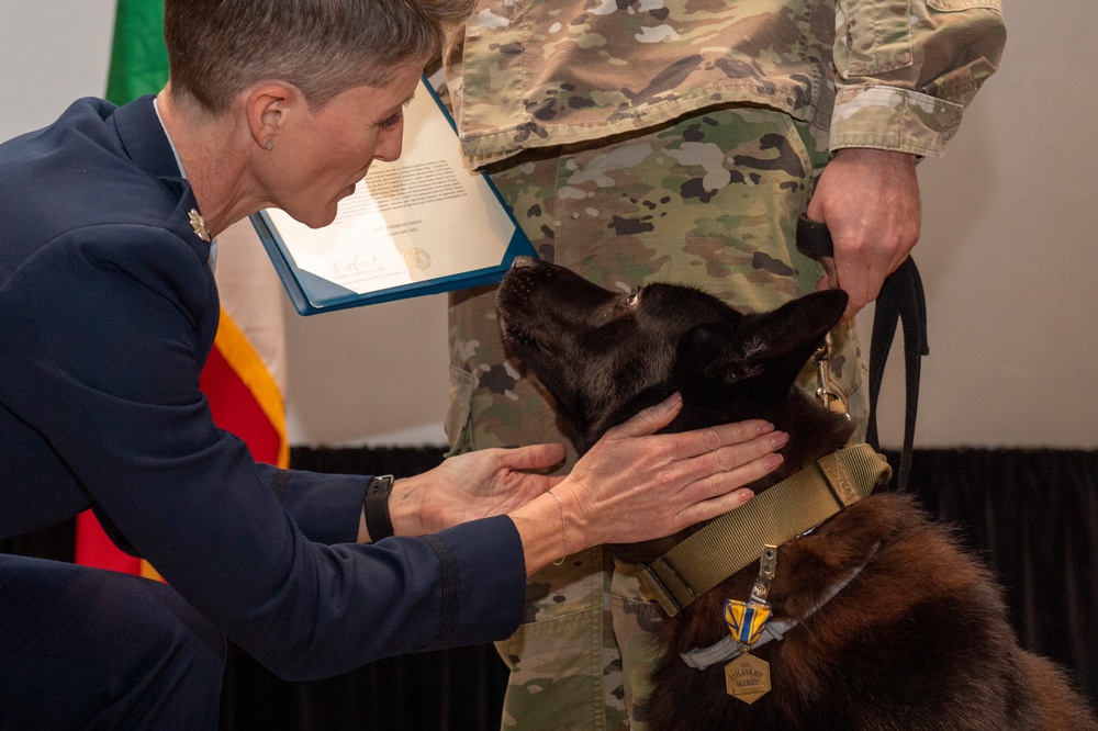 Military working dogs honored in retirement ceremony