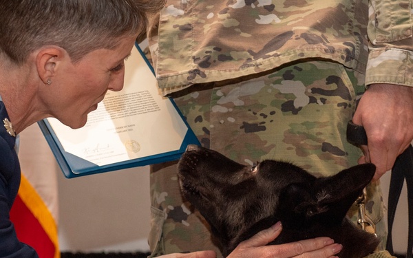 Military working dogs honored in retirement ceremony