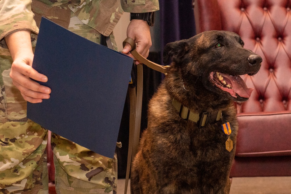 Military working dogs honored in retirement ceremony