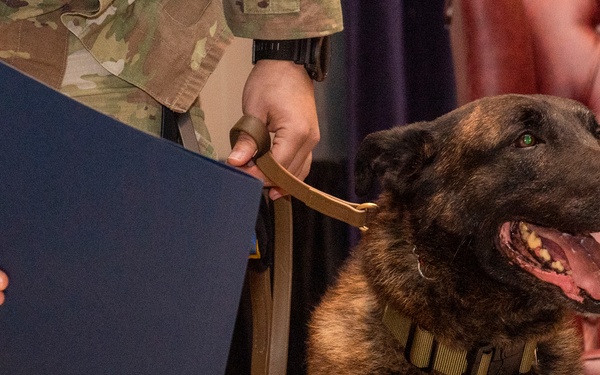 Military working dogs honored in retirement ceremony