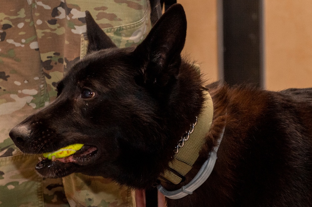 Military working dogs honored in retirement ceremony