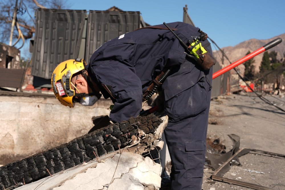 Search &amp; Rescue Efforts for the Los Angeles County Wildfires