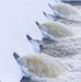 Crowds gather in beautiful wintery landscape at Shenango for Eagle Fest