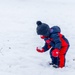 Crowds gather in beautiful wintery landscape at Shenango for Eagle Fest