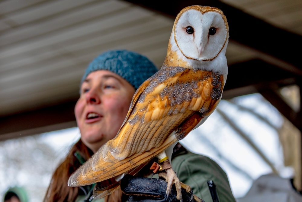 Crowds gather in beautiful wintery landscape at Shenango for Eagle Fest