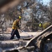 Firefighters Assist in Fire Suppression Efforts Against the Eaton Fire