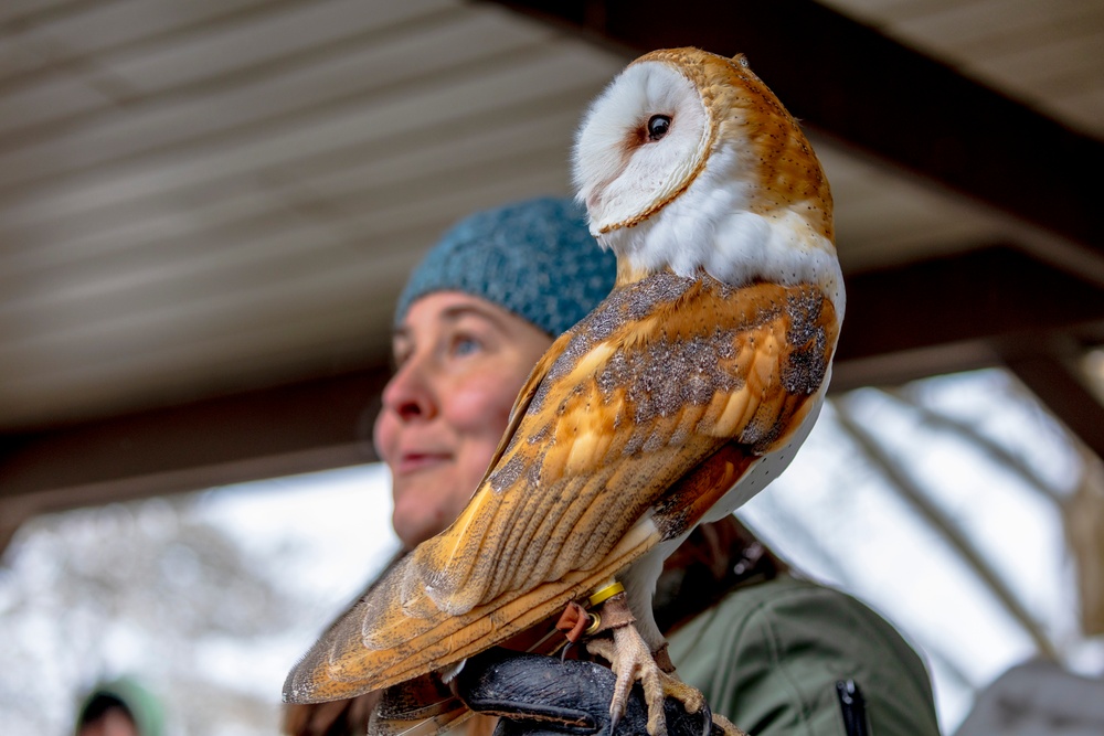 Crowds gather in beautiful wintery landscape at Shenango for Eagle Fest