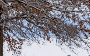 Crowds gather in beautiful wintery landscape at Shenango for Eagle Fest