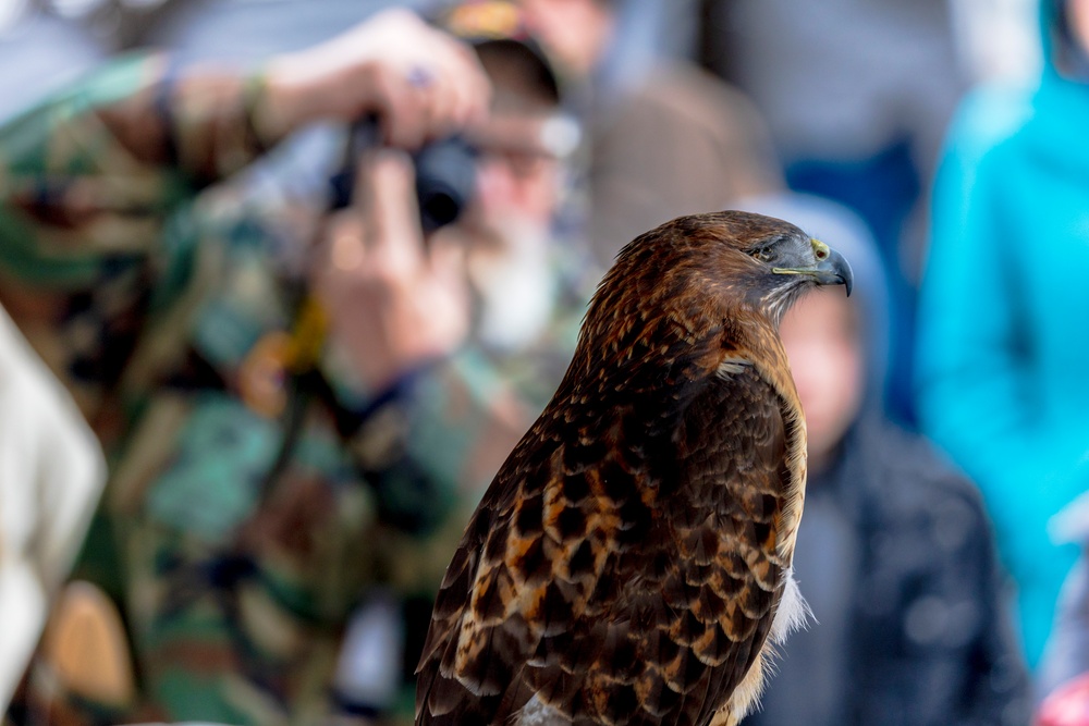 Crowds gather in beautiful wintery landscape at Shenango for Eagle Fest