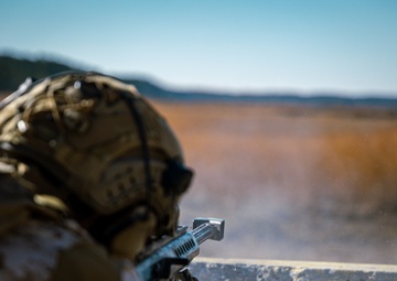 3/6 SASR Range