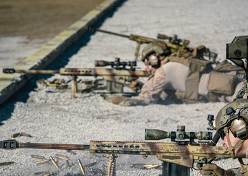 3/6 SASR Range