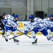 U.S. Air Force Hockey vs. Bentley