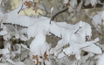 Winter storm blankets McConnell Air Force Base