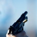 Sailor Participates in Small-Arms Firearm Training