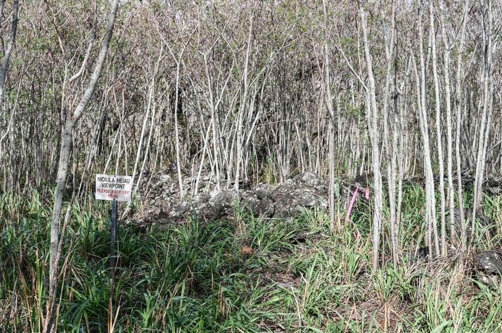 Nioiʻula Heiau Restoration