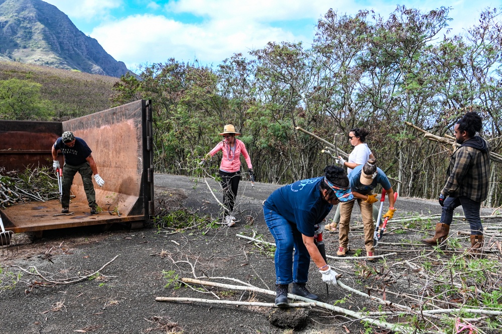 Nioiʻula Heiau Restoration